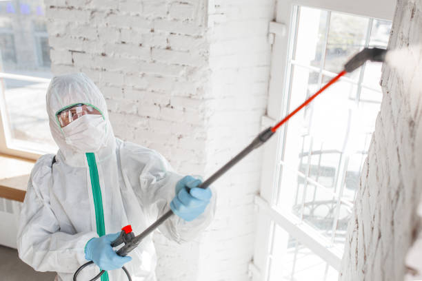 Biohazard Mold Removal in Franklin, WI